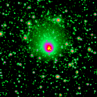 Comète aux multiples astres, scintillante
